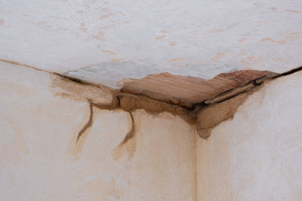Best Local water damage restoration  in Whitestown, IN