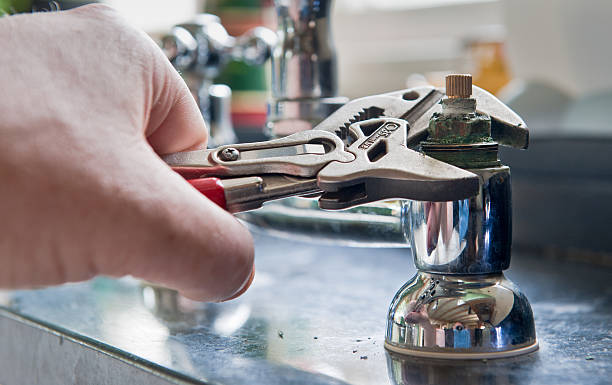 Best Professional water damage repair  in Whitestown, IN