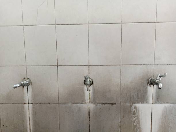 Best Residential water damage restoration  in Whitestown, IN
