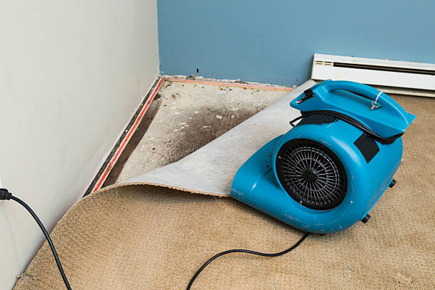 Best Flooded house restoration  in Whitestown, IN
